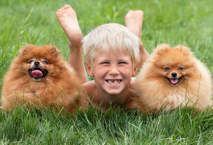 good pets for kids